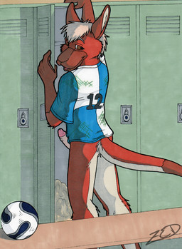 anthro ball bench brown_eyes clothing erection genitals locker locker_room looking_back male open_mouth penis soccer soccer_ball solo sport zeddish kangaroo macropod mammal marsupial