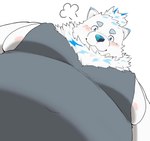 air_puff anthro belly big_belly blush clothed clothing cloud_emanata emanata fur looking_at_viewer looking_down low-angle_view male moobs navel nipple_slip nipples overweight overweight_anthro overweight_male pomf shirt smile solo tank_top topwear white_body white_fur worm's-eye_view nikukyu299paw lifewonders live_a_hero pec_pov_meme yohack canid canine canis domestic_dog mammal nordic_sled_dog samoyed spitz 2024 digital_media_(artwork) meme