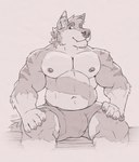 anthro barazoku big_pecs bulge canid canine clothed clothing facial_piercing fox front_view fur hand_on_leg hand_on_thigh hi_res looking_aside male mammal monochrome muscular muscular_male nipples nose_piercing nose_ring paws pecs piercing portrait ring_piercing shorts_only sitting skai skaifox snaggle_tooth solo spread_legs spreading striped_body striped_fur stripes three-quarter_portrait topless