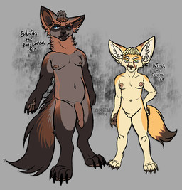4_toes anthro bangs big_ears black_nose blue_eyes breasts brown_body brown_fur brown_nose claws dipstick_tail duo facial_markings feet female foreskin fur genitals green_eyes hair hair_bun head_markings long_penis looking_at_viewer male markings mask_(marking) navel neck_tuft nipples nude pawpads paws penis simple_background size_difference small_breasts smile tail tail_markings text toe_claws toes tuft vulva yellow_body yellow_fur ch40t1c edwin_(ch40t1c) nina_(ch40t1c) bat-eared_fox canid canine fennec_fox fox mammal true_fox 2024 digital_media_(artwork) hi_res model_sheet