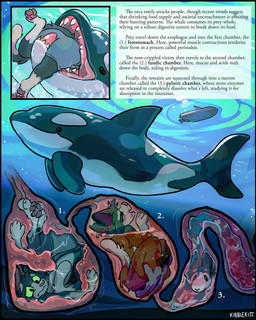 ambiguous_gender anatomy anthro anthro_prey blood boat bodily_fluids bottomwear clothed clothing death digestion duo fatal_vore feral feral_pred fully_inside fully_submerged gore graphic_digestion internal male male_anthro male_death oral_vore organs pawpads shorts soft_vore stomach tail text topless topless_anthro topless_male underwater vehicle vore water watercraft kibblekitt colby_(kibblekitt) aquatic cetacean dolphin domestic_cat felid feline felis mammal oceanic_dolphin orca toothed_whale 2026 artist_name digital_drawing_(artwork) digital_media_(artwork) english_description english_text hi_res sequence