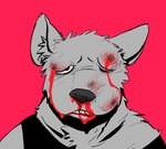 anthro beaten blood bodily_fluids bruised clothing eyebrows hair male nosebleed simple_background solo topwear wounded 3000vnd canid canine mammal headshot_portrait portrait