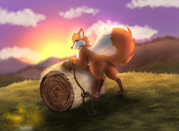 blue_eyes cloud female feral fur leash object_in_mouth orange_body orange_fur pawpads paws solo sunset tail wheat wheat_in_mouth white_body white_fur astralia canid canine fox mammal hi_res