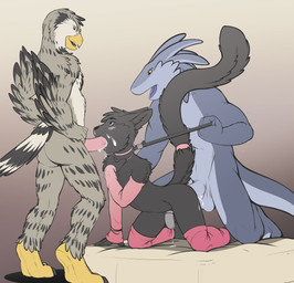 all_fours anal anal_orgasm anal_penetration anthro arm_warmers armwear balls beak black_body black_fur blush bodily_fluids butt chastity_cage chastity_device claws clothed clothing collar crossdressing cum cum_in_ass cum_in_mouth cum_inside cum_on_face cum_while_chaste cum_while_penetrated dominant dominant_male dripping ejaculation erection feathered_wings feathers fellatio femboy fur genital_fluids genitals grey_body grey_skin group group_sex hands-free holding_leash holding_object interspecies kneeling leash leash_pull leg_warmers legwear male male/male mostly_nude nude oral oral_penetration orgasm penetration penile penis precum precum_drip sex size_difference smile solid_chastity_cage spitroast standing submissive submissive_male threesome tongue trio wearing_chastity_cage wearing_chastity_device wings shiuk caylen_(retrospecter) avian domestic_cat felid feline felis mammal unknown_species absurd_res hi_res