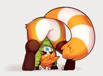 anthro ass_up blue_tongue bottomless brown_body brown_fur butt clothed clothing downward_dog featureless_crotch female fur green_body green_clothing green_fur green_hoodie green_topwear grey_background head_tuft hoodie looking_through looking_through_legs markings monobutt null orange_body orange_fur outline pose presenting presenting_hindquarters ring_(marking) ringed_tail simple_background solo striped_markings striped_tail stripes tail tail_markings tongue topwear tuft white_body white_fur jinxit pocky_(jinxit) ailurid mammal red_panda digital_media_(artwork) hi_res shaded