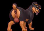 all_fours anus balls bedroom_eyes belly big_balls black_back black_background black_body black_butt black_ears black_eyelids black_face black_fur black_head black_legs black_neck black_nose black_snout black_tail blocky_snout brown_belly brown_body brown_butt brown_ear_tips brown_ears brown_eyebrows brown_face brown_fur brown_head brown_legs brown_neck brown_paws brown_snout brown_tail butt button_ears dark_anus dark_body dark_fur dipstick_ears docked_tail ear_markings eyebrows fangs feral floppy_ears fur genitals glistening glistening_balls glistening_body glistening_butt glistening_ears glistening_face glistening_genitalia glistening_head glistening_legs glistening_neck glistening_nose glistening_paw glistening_shoulders glistening_snout half-closed_eyes leg_markings light_body light_fur looking_at_viewer looking_back male male_feral markings monotone_back monotone_background monotone_belly monotone_eyelids monotone_paws multicolored_body multicolored_butt multicolored_ears multicolored_fur narrowed_eyes neck_muscles open_mouth perineum presenting presenting_anus presenting_balls presenting_hindquarters puffy_anus quadruped raised_eyebrows raised_tail saggy_balls scut_tail seductive short_fur short_tail simple_background smile smiling_at_viewer snout socks_(marking) solo standing tail tail_anus teeth thick_eyebrows thick_thighs tongue tongue_out two_tone_body two_tone_butt two_tone_ears two_tone_face two_tone_fur two_tone_head two_tone_legs two_tone_neck two_tone_tail wide_hips yellow_eyes zhephyreart canid canine canis domestic_dog mammal mastiff molosser rottweiler 2025 digital_media_(artwork) shaded