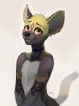 absurd_res african_wild_dog anthro blush canid canine choker digital_media_(artwork) ear_piercing ear_ring fur hi_res jewelry looking_at_viewer lull_(skully) male mammal markings necklace nipples nude orange_eyes piercing ring_piercing skully smile solo spots spotted_body spotted_fur