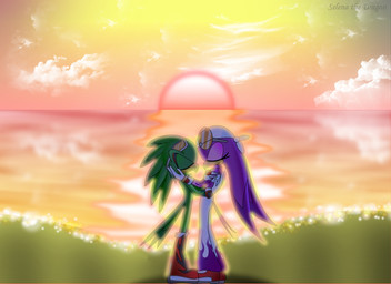 anthro beak clothing cloud duo eyes_closed eyewear feathers female glasses goggles green_body green_feathers kerchief male outside purple_body purple_feathers shadow sky sun sunglasses sunset selena-the-dragon sega sonic_riders sonic_the_hedgehog_(series) jet_the_hawk wave_the_swallow accipitrid accipitriform avian bird hirundinid oscine passerine swallow_(bird) absurd_res hi_res