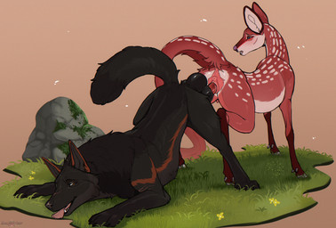 amber_eyes animal_genitalia animal_penis anus ass_to_ass balls black_body black_fur canine_genitalia canine_penis duo erection female female_feral female_penetrated feral feral_on_feral feral_penetrated feral_penetrating feral_penetrating_feral fur genitals grey_body grey_fur interspecies knot knot_root knotted_penis knotting looking_pleasured male male/female male_feral male_penetrating male_penetrating_female orange_body orange_fur outside penetration penile penile_penetration penis predator/prey raised_tail red_body red_fur reverse_doggystyle sex tail tongue tongue_out vaginal vaginal_knotting vaginal_penetration white_body white_fur angellsview3 conditional_dnp angell_(angellsview3) kael_(beleynn) canid canine canis deer mammal wolf 2026 absurd_res digital_media_(artwork) hi_res huge_filesize