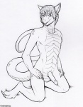 anthro balls claws erection genitals male nude penis solo tail undyingsong redd_(redd) lizard reptile scalie