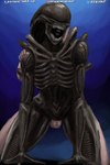 black_body doggystyle duo exoskeleton eyeless female from_behind_position genitals gradient_background hand_on_shoulder inner_mouth nude open_mouth sex sharp_teeth simple_background teeth teeth_showing nihilophant alien_(franchise) alien humanoid xenomorph 2018 2:3 digital_media_(artwork) hi_res