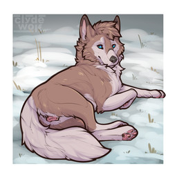 anatomically_correct anatomically_correct_genitalia anatomically_correct_vulva animal_genitalia animal_vulva black_nose border brown_body brown_fur butt canine_genitalia canine_vulva female feral fluffy fluffy_tail fur genitals looking_at_viewer looking_back looking_back_at_viewer lying mottled mottled_pawpads on_side on_snow pawpads quadruped snow solo tail vulva white_border clyde_wolf canid canine canis mammal wolf 1:1 hi_res