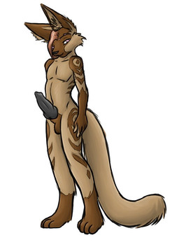 4_fingers 4_toes animal_genitalia animal_penis anthro balls biped black_penis brown_body brown_fur brown_hair brown_markings canine_genitalia canine_penis erection feet fingers fur genitals hair knot looking_at_viewer male markings multicolored_body multicolored_fur nude penis pink_eyes short_hair simple_background smile solo standing tail toes tuft furball canid canine mammal digital_media_(artwork) source_request