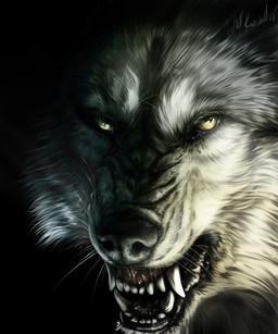 black_nose feral fur green_eyes looking_at_viewer open_mouth solo teeth wolfroad canid canine canis mammal wolf 2015 5:6 digital_media_(artwork) hi_res