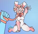 anthro breasts butt butt_from_the_front collar featureless_crotch female fur hair heart_eyes heart_symbol leash markings open_mouth pink_hair pink_markings tongue white_body white_fur currypuppy heidi_magrath domestic_rabbit flemish_giant lagomorph leporid mammal oryctolagus rabbit