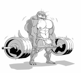 4_toes 5_fingers absurd_dumbbell anthro balls big_balls big_bulge big_muscles big_penis bulge clothed clothing dumbbell exercise feet fingers genitals holding_barbell holding_object huge_balls huge_bulge huge_muscle huge_muscles huge_penis male muscular muscular_anthro muscular_male nipples penis plantigrade simple_background solo standing toes underwear underwear_only weightlifting weights white_background workout stagor55 mammal mustelid otter 2018 hi_res monochrome