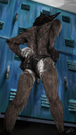 5_fingers anthro black_hair bulge butt clothing dressing fingers fur grey_body grey_fur hair locker locker_room male multicolored_body multicolored_fur solo standing tight_underwear two_tone_body two_tone_fur underwear white_body white_fur killianwalker felid feline lynx mammal 2015 9:16 hi_res