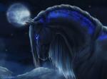 bioluminescence feral glowing markings moon solo space nikolaosflamel equid equine horse mammal 4:3 hi_res signature