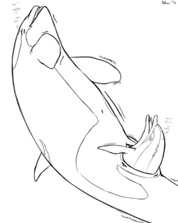 2015 bubble cetacean dolorcin dolphin duo female feral mammal marine navel open_mouth orca slit stretching unbirthing unfinished vore whale
Rating: Explicit
Score: 8
User: Dolorcin
Date: January 23, 2015 2015 bubble cetacean dolorcin dolphin duo female feral mammal marine navel open_mouth orca slit stretching unbirthing unfinished vore whale
Rating: Explicit
Score: 8
User: Dolorcin
Date: January 23, 2015