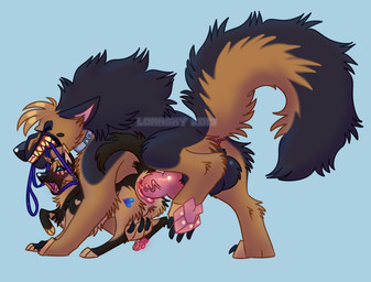 anatomically_correct anatomically_correct_genitalia anatomically_correct_penis anatomically_correct_vulva animal_genitalia animal_penis animal_vulva balls big_balls big_tail black_balls black_body black_claws black_fur black_nose black_tail blue_background blue_eyes blush brown_body brown_fur brown_tail canine_genitalia canine_penis canine_vulva claws clenched_teeth collar duo eyes_closed female female_penetrated feral feral_on_feral feral_penetrated feral_penetrating feral_penetrating_feral fur genitals knot larger_feral larger_male leash leash_pull long_tail male male/female male_penetrating male_penetrating_female mouth_hold multicolored_body multicolored_fur multicolored_tail open_mouth pawpads paws penetration penile penile_penetration penis penis_in_vagina pink_pawpads pink_penis pink_vulva quadruped sex simple_background size_difference smaller_female smaller_feral smaller_penetrated tail teeth two_tone_body two_tone_fur two_tone_tail vaginal vaginal_penetration vein veiny_penis vulva lornsky nadia_(voxly) rip_(psy101) canid canine canis domestic_dog german_shepherd herding_dog mammal pastoral_dog 2019 digital_media_(artwork) watermark