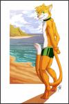 anthro beach border clothing collar detailed_background green_eyes grey_border male outside sand seaside sky solo summer swimwear gothwolf domestic_cat felid feline felis mammal 2015 digital_media_(artwork) hi_res