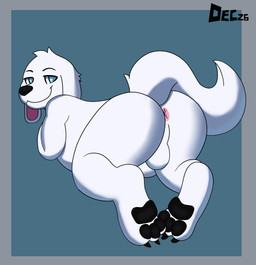 anthro anus backsack balls belly big_butt butt fur genitals looking_at_viewer looking_back male pawpads paws presenting presenting_hindquarters slightly_chubby solo white_body white_fur december_dreams family_guy brian_griffin canid canine mammal hi_res