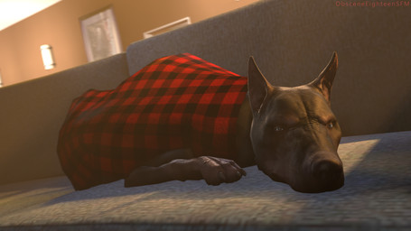 bedding black_body black_fur blanket blue_eyes feral fur furniture inside lying male on_front paws sleeping sofa solo obsceneeighteensfm canid canine canis dobermann domestic_dog mammal pinscher 16:9 3d_(artwork) digital_media_(artwork) hi_res widescreen