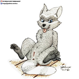 anus black_nose blue_eyes female feral fur genitals legs_in_air looking_at_viewer paws sitting smile smiling_at_viewer solo spread_legs spreading text tongue tongue_out toony vulva yordraw cartoon_hangover doctor_lollipop coco_(doctor_lollipop) mammal procyonid raccoon 1:1 hi_res url