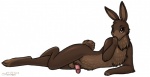 anthro brown_body brown_fur erection fur looking_at_viewer male penis pose simple_background solo white_background spookaboo lagomorph leporid mammal rabbit