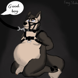anthro belly big_belly black_body foreskin fur genitals huge_belly male muscular penis solo tail text white_body white_fur fxng_studio lary alaskan_malamute canid canine canis domestic_dog husky mammal nordic_sled_dog spitz 1:1 hi_res