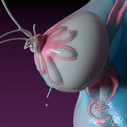 big_breasts big_nipples blue_body bodily_fluids breast_milking breasts cum cum_inside dairy_products female food genital_fluids lactating milk nipples projectile_lactation x-ray_view norkanimations disney mythology raya_and_the_last_dragon sisu_(ratld) dragon mythological_creature mythological_scalie scalie 3d_(artwork) digital_media_(artwork) hi_res