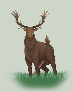 animal_genitalia animal_penis antlers balls big_balls big_penis cervine_genitalia cervine_penis erection feral genitals grass horn male penis plant raised_tail serious_face simple_background solo tail squiggleflop deer mammal 2025 4:5 absurd_res hi_res
