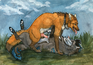 anal anal_penetration animal_genitalia animal_penis black_collar black_horn black_nose blue_eyes blue_markings blue_sky canine_genitalia canine_penis collar cowgirl_position duo erection fangs feral feral_on_feral feral_penetrated feral_penetrating feral_penetrating_feral from_front_position fur genitals grass green_eyes grey_body grey_fur horn knot knotted_penis lying male male/male male_penetrated male_penetrating male_penetrating_male markings obscured_penetration on_back on_bottom on_top open_mouth orange_body orange_fur outside penetration penile penile_penetration penis pink_nose pink_penis plant sex side_view sky teeth tongue tongue_out whiskers white_body white_fur heatherwolf canid canine mammal