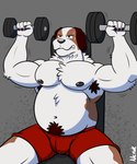 angry anthro armpit_hair athletic_wear barazoku belly big_bulge black_nipples bodily_fluids body_hair bottomwear bulge claws clothing exercise fur grey_background gym gym_bottomwear gym_shorts long_ears male markings muscular navel neck_tuft nipples pubes shaking shorts showing_teeth simple_background solo spots spotted_body spotted_fur sweat trembling tuft weightlifting white_body white_fur workout neruk canid canine canis domestic_dog mammal molosser mountain_dog saint_bernard absurd_res hi_res