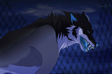 ambiguous_gender black_body black_fur black_tongue blue_eyes blue_nose blue_tongue fangs feral fur glistening glistening_eyes grey_body grey_fur night open_mouth outside sharp_teeth side_view solo teeth tongue whiskers white_body white_fur msdeadsoul canid canine mammal 3:2 hi_res signature