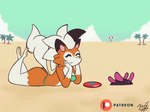 anthro beach bikini breasts clothing duo female heart_eyes heart_symbol seaside smile swimwear two-piece_swimsuit fantharubi nintendo pokemon dusk_lycanroc generation_7_pokemon lycanroc pokemon_(species) pyukumuku animated short_playtime