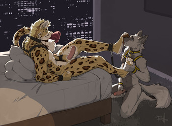anthro bed blonde_hair collar duo ear_piercing erection feet foot_fetish foot_grab foot_lick foot_play foreskin fur furniture genitals green_eyes grey_body grey_fur hair humanoid_genitalia humanoid_penis inside kneeling licking male male/male on_bed penis piercing pillow tail tongue white_body white_fur yellow_body yellow_fur russell_allen therris canid canine felid fox leopard mammal pantherine 2024 hi_res