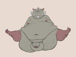 anthro balls belly big_belly genitals grey_body male moobs navel nipples obese obese_male overweight overweight_male penis simple_background solo ranno_(artist) teenage_mutant_ninja_turtles master_splinter mammal murid murine rat rodent 2023 4:3 absurd_res hi_res