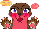 anthro asian_small-clawed_otter detailed digital_drawing_(artwork) digital_media_(artwork) female happy hi_res kawayoko magic mammal mustelid otter powers smile solo yoko_seabreeze