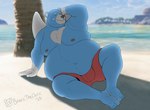 anthro beach belly big_belly black_nose blue_body bulge detailed_background eyes_closed male moobs nipples outside overweight overweight_male sitting solo water wings bearicthecleric nintendo oracle_of_ages oracle_of_seasons the_legend_of_zelda moosh bear mammal 2024 hi_res