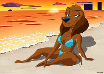 4_toes anthro beach big_butt bikini blue_eyes breasts brown_body brown_fur butt clothed clothing evening feet female flirty_expression fluffy_ears fur glistening glistening_body narrowed_eyes orange_sky partially_clothed photo_shoot pose sea sky smile smiling_at_viewer smirk smirking_at_viewer solo suggestive_pose sunset swimwear thick_thighs toes two-piece_swimsuit water kenthenugget charlotte_(crescent_blue) bird_dog canid canine canis domestic_dog hunting_dog mammal spaniel absurd_res hi_res pinup