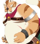 anthro belly eye_patch eyewear kemono male overweight overweight_anthro overweight_male scar simple_background solo white_background chizu dragon_quest dragon_quest_x square_enix cat_ribeiro felid feline mammal 2019