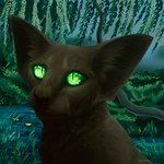 female feral flower green_eyes plant pond solo tree water water_lily willow_tree darknessisaisha domestic_cat felid feline felis mammal oriental_shorthair 1:1 portrait