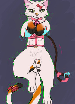 accessory animal_genitalia animal_penis bell bell_collar bow_ribbon collar dangling_legs dirty disembodied_hand feline_genitalia feline_penis femboy feral furgonomics genitals ghost_hand hair_accessory hair_bow hair_ribbon harness leashed_harness leashed_male male on_display penis presenting ribbons sheath smelly smelly_penis solo tail tail_accessory tail_bow tail_ribbon thatcatjj jj_(thatcatjj) calico_cat domestic_cat felid feline felis mammal absurd_res hi_res