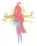 anthro avian_feet beak bird_legs branch breasts claws eyelashes feathers female long_tail nipples non-mammal_breasts non-mammal_nipples open_mouth red_body red_feathers sitting smile solo tail tail_feathers toe_claws omumacaw omu avian bird macaw neotropical_parrot parrot true_parrot