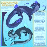 1:1 absurd_res aquatic_dragon deepdrake digitigrade dragon duo english_text female feral fish gills hi_res jigs male marine model_sheet mythological_creature mythological_scalie mythology open_species quadruped scalie species_description species_sheet tail text