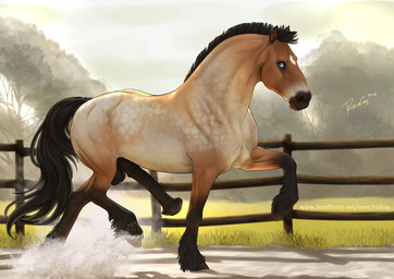 animal_genitalia animal_penis balls black_fetlocks black_penis blue_eyes dapple_grey equine_balls equine_genitalia equine_penis equine_tail erection feral fetlocks genitals leg_markings male markings penis raised_leg short_mane socks_(marking) solo star_(marking) swinging_penis trotting walking water_spray rufciu scipio_lucullus_ahenobarbus equid equine mammal absurd_res hi_res signature