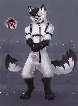 animal_genitalia animal_penis anthro balls black_harness black_markings blue_eyes bodily_fluids bound canine_genitalia canine_penis collar dripping fluffy fur genital_fluids genitals gloves_(marking) half-erect hands_tied harness heterochromia leash leashed_collar leashed_male leg_markings male markings muzzle_(object) muzzled penis pink_penis precum precum_drip red_eyes sheath socks_(marking) solo tail tail_motion tailwag white_body white_fur alikars kuro_scavendrul arctic_fox canid canine canis domestic_dog fox german_shepherd herding_dog mammal pastoral_dog true_fox absurd_res hi_res