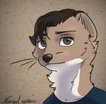 anthro brown_hair brown_nose clothing hair looking_at_viewer male shirt simple_background solo t-shirt topwear moustelot emile_(moustelot) least_weasel mammal mustelid musteline true_musteline weasel headshot_portrait portrait