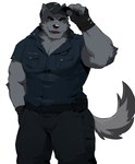 anthro clothing ear_piercing eye_scar facial_scar fingerless_gloves fur gloves grey_body grey_fur handwear looking_at_viewer male muscular muscular_anthro muscular_male notched_ear piercing police police_belt police_hat police_officer police_uniform scar simple_background solo standing uniform white_background warr canid canine canis mammal wolf absurd_res hi_res